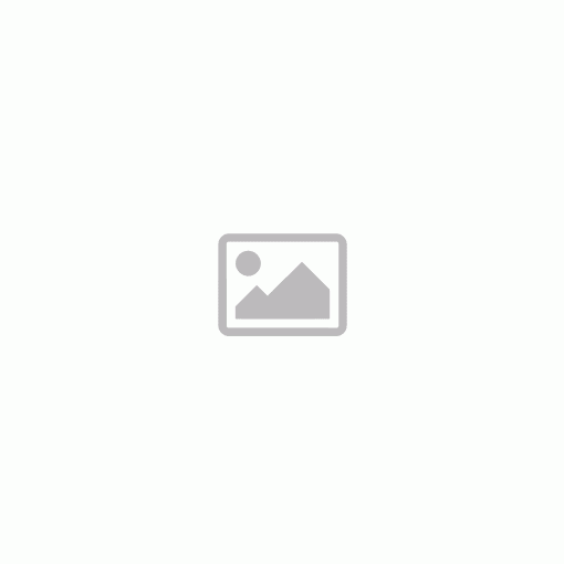 Xiaomi Wireless Outdoor Security Camera 1089p